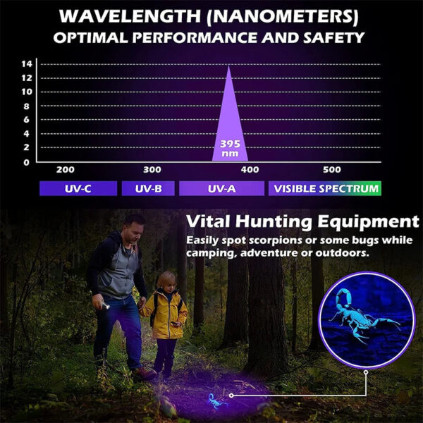 395nm UV Flashlight Blacklight Zoomable USB Rechargeable UV Light Ultraviolet Flashlight for Pet Urine Detection Resin Curing - Image 4