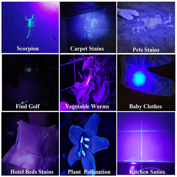 395nm UV Flashlight Blacklight Zoomable USB Rechargeable UV Light Ultraviolet Flashlight for Pet Urine Detection Resin Curing - Image 5