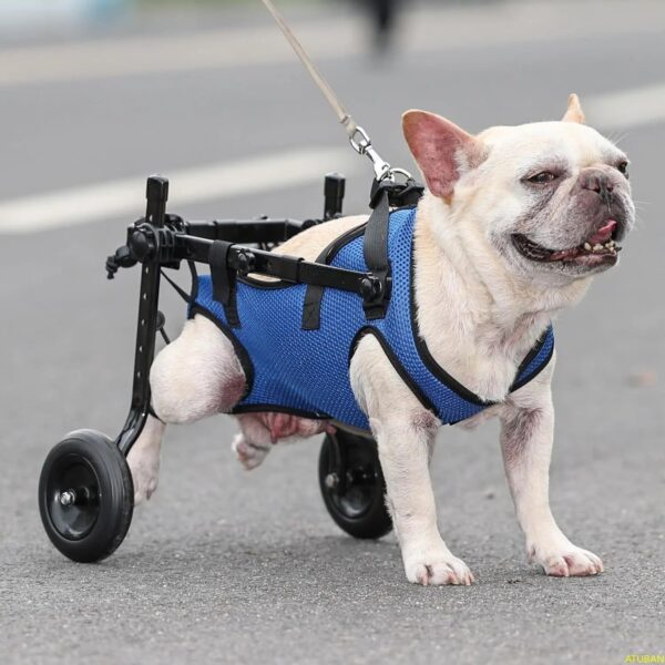 ATUBAN Adjustable Small Dog Wheelchair - Mobility Aid for Disabled Pets (8-20 Pounds) - Image 4