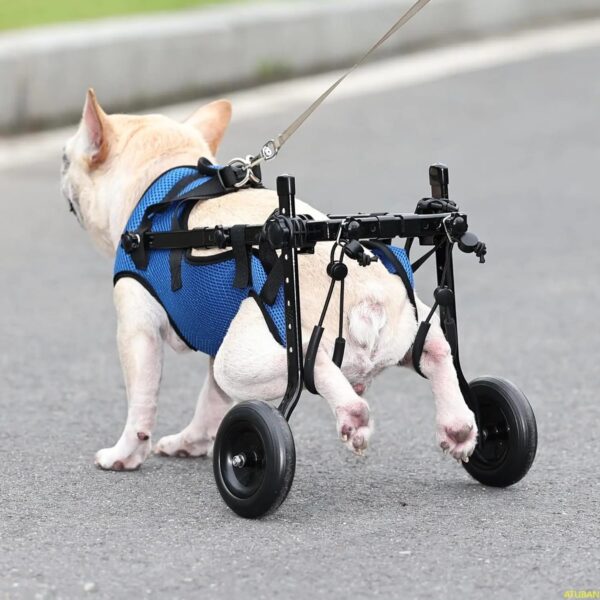 ATUBAN Adjustable Small Dog Wheelchair - Mobility Aid for Disabled Pets (8-20 Pounds) - Image 5