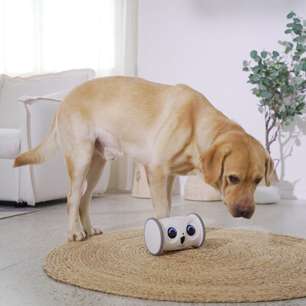 Owl-shaped Dog Electric Toy With Snacks - Image 19