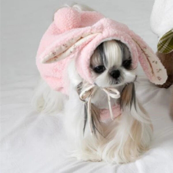 Cute Rabbit Style Winter Apparel for Dogs - Puppy Clothes - Image 2