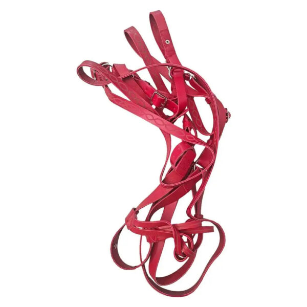 Adjustable PU Horse Lead Rope with Swivel Metal Buckle for Equestrian Racing, Ponys, and Pets - Image 3