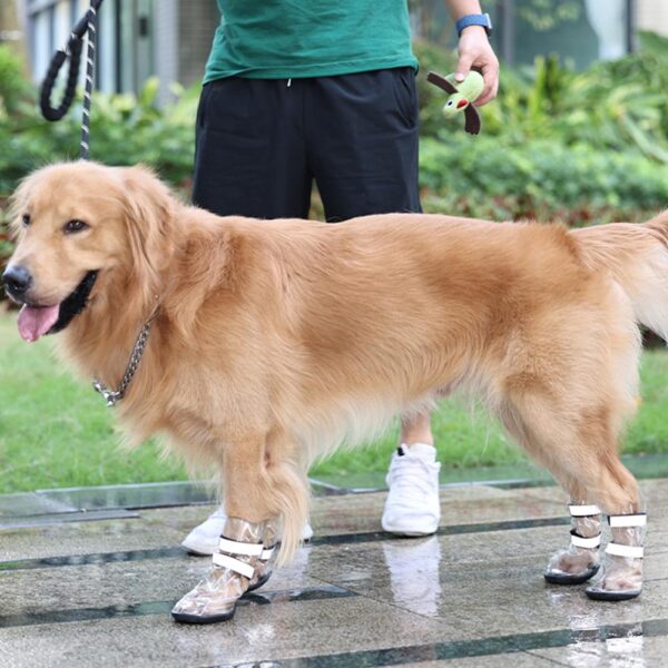 Waterproof Shoes for Large Dogs - Splash Proof Pet Shoes - Image 3