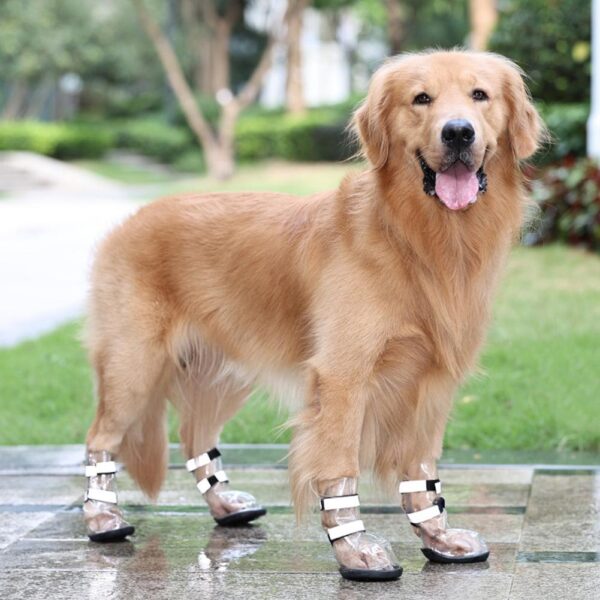 Waterproof Shoes for Large Dogs - Splash Proof Pet Shoes - Image 6